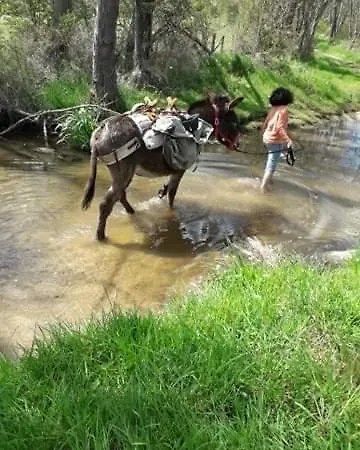 L'alternatif 营地 Huriel