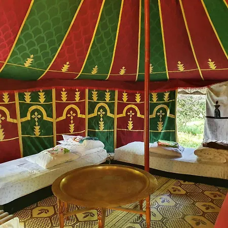 L'alternatif Camping