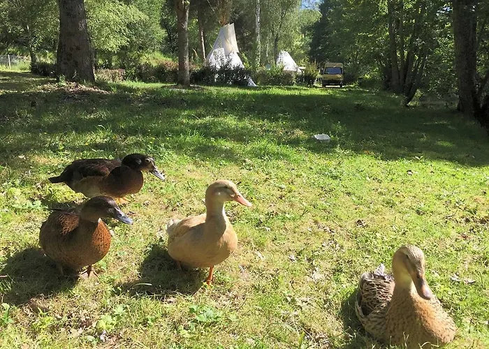 L'alternatif Кемпинг Huriel